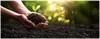Hands holding a young plant with soil, with sunlight shining through green foliage in the background. Produktbild-Vorschau