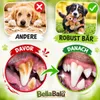 RobustBär™ - Der unzerstörbare Begleiter! Langlebiges Produktbild-Vorschau 3