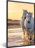 MuchoWow® Gerahmtes Poster Pferde - Wasser - Strand - Tiere Produktbild-Vorschau 1