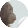 MuchoWow® Produktbild-Vorschau 1