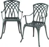 Two dark gray cast aluminum chairs with a green patina, displayed on a white background. Anteprima dell’immagine prodotto