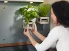 A woman is placing a potted herb plant on a magnetic kitchen backsplash. Anteprima dell’immagine prodotto