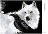 Diamondi - Diamond painting - HUND UND RABE, 40X50 cm, ohne Produktbild-Vorschau 3