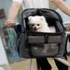 Cestino da bici per cani, tessuto Oxford, trasportino, Anteprima dell’immagine prodotto 3