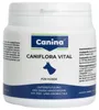 120 g Canina CANIFLORA VITAL für Hunde Produktbild-Vorschau 2