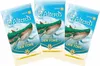 Equinox Altered: Jenseits der Tore Sammelkartenspiel (DE) - Produktbild-Vorschau 4