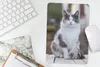 MuchoWow® Mauspad Mousepad Katze - Porträt - Tisch - Produktbild-Vorschau 5