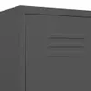 Close-up of a gray locker. Produktbild-Vorschau