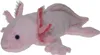 A plush toy axolotl is shown lying on a white background. Produktbild-Vorschau