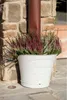 Bama Tulipano Bloempot 5L 34.5x19x30 cm 4 Stuks Wit Podgląd zdjęcia produktu 2