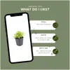 Planten van Frank | 48 Gewone varenplanten | Dryopteris Productafbeelding-voorbeeld 5