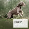 Magen & Darm Snack für Hunde 170g - Getreidefrei & Produktbild-Vorschau 12