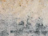 Mauerstein iBrixx Pure muschelkalk 60 cm x 40 cm x 20 cm Produktbild-Vorschau 20