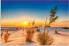 ARTland Wandbild Alu für Innen & Outdoor Sonnenuntergang Produktbild-Vorschau 1