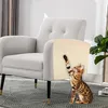 Selbstklebende Kratzmatte für Katzen, schneidbar für Möbel, Produktbild-Vorschau 5