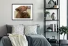 MuchoWow® Gerahmtes Poster Schottischer Highlander - Braun Produktbild-Vorschau 2