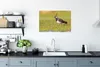 MuchoWow® Poster Vogel - Gras - Natur - Tiere - Kiebitz Produktbild-Vorschau 3