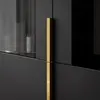 Verglaste Vitrine MIRACLE Schwarz matt Produktbild-Vorschau 4