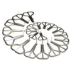 Maultrommel Schlütter Pro D2 Produktbild-Vorschau 2