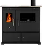 Dřevěná kamna Prometey Praktik Lux 9,4 kW | Trouba | Litina Náhled obrázku produktu 1