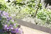A garden border made of stone-look material separates a paved walkway from a garden bed with purple flowers and green foliage. Produktbild-Vorschau