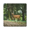 MuchoWow® Mauspad Mousepad Rotwild - Wald - Tier 20x20 cm - Produktbild-Vorschau 1