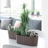 Two planters filled with various cacti are placed on a white table in a living room setting. A sofa and a lamp are visible in the background. Voir les images du produit