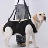 A person is helping a dog stand up using a black harness. Produktbild-Vorschau