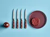 Wüsthof Steakmesserset 4-teilig / Steak Knife Set 4-Piece Voir les images du produit 2