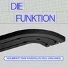 Gardinen Feststeller - Schwarz, 30er-Set - Vorhang Stopper Produktbild-Vorschau 6