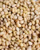 Pinienkerne 1 kg | naturbelassen | Grade A1 Produktbild-Vorschau 2