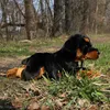 Peluche Rottweiler 44 Cm Ecologique Voir les images du produit 2