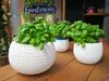 Splofy Bowl Topf Produktbild-Vorschau 10