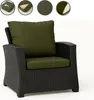 A dark brown wicker armchair with green cushions, shown against a white background. Four circular inset images at the top show details of the cushion. Produktbild-Vorschau