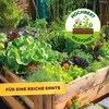 Solabiol Veggie Boost - 250 ml Produktbild-Vorschau 5