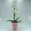 Set4 4 Keramik Blumentöpfe Rhodos für Orchideen rosa H 17 Produktbild-Vorschau 2