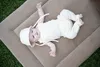 Baby's Only Baby Body Dream - Ärmellos - Cream - 68 - 100% Produktbild-Vorschau 7