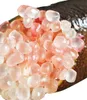 BALDUR Garten 1x Kaviar-Limette, Pflanze im 12 cm-Topf, Produktbild-Vorschau 4