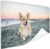 MuchoWow® Poster Hund am Strand 60x40 cm - Produktbild-Vorschau 1
