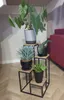FRAMADO, Pflanzenständer Cage, 4 Etagen, Blumenständer, Produktbild-Vorschau 8