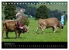 Almabtrieb in Tirol (Tischkalender 2027 DIN A5 quer), Produktbild-Vorschau 9