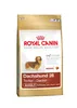 Klein Royal Canin Dachshund Adulto Pollo Arroz Aves 1,5 Kg Produktbild-Vorschau 14