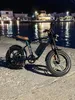 ENGWE E Bike Schnee Fat Bike für Herren Damen, 20 Zoll Produktbild-Vorschau 15
