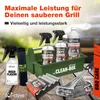 bio-chem Grill Reinigungsset und Pflege professionell Box Produktbild-Vorschau 2