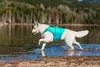 Non-stop dogwear Schwimmweste Protector Life Jacket türkis, Produktbild-Vorschau 16