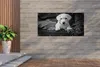 MuchoWow® Produktbild-Vorschau 2
