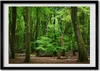 Bild - Bilder - Bilderrahmen - 70 cm x 50 cm - MDF-Rahmen, Produktbild-Vorschau 1