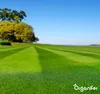 Kalkdünger mit Magnesium (5 kg - Für 100 m2)- Organifer Produktbild-Vorschau 5
