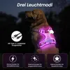 LED Hundegeschirr aufladbar reflektierend, verstellbar mit Produktbild-Vorschau 9