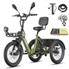 E Trike, Last bis 180 kg, Reichweite 100 km, 48 V 25 Ah Produktbild-Vorschau 1